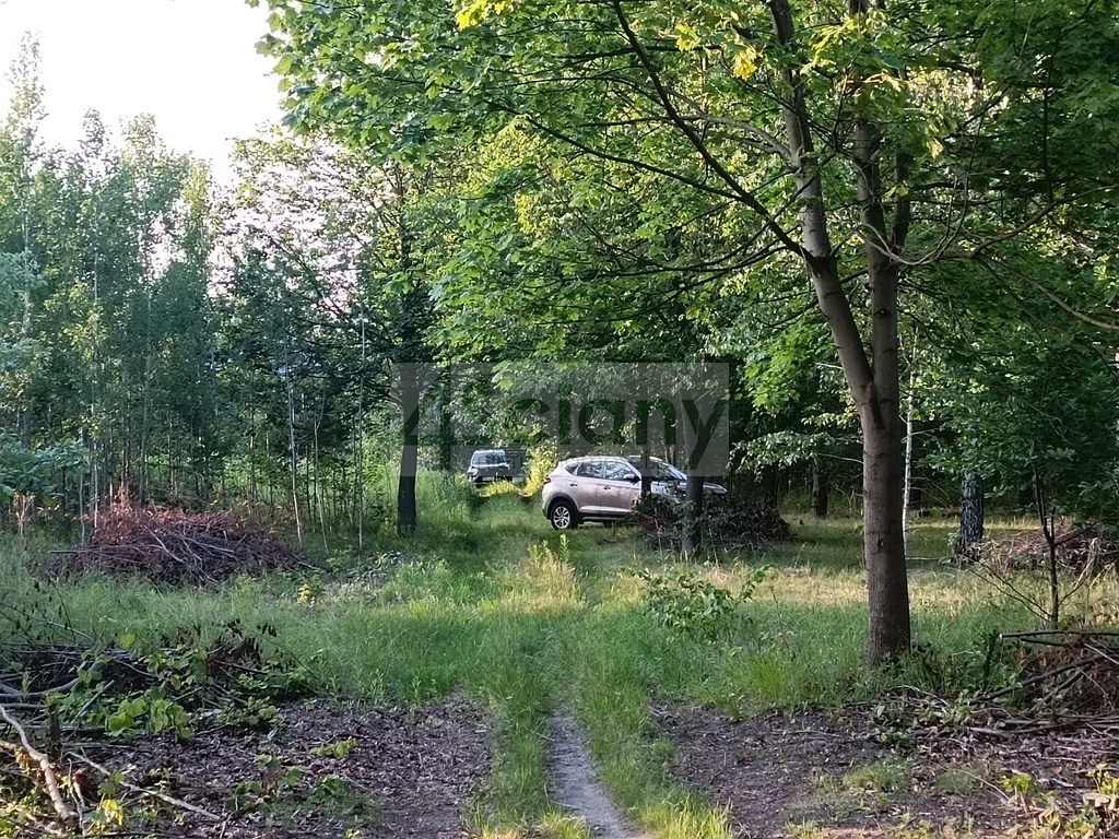 Działka budowlana 1351 m², Sulejówek - zdjęcie 11