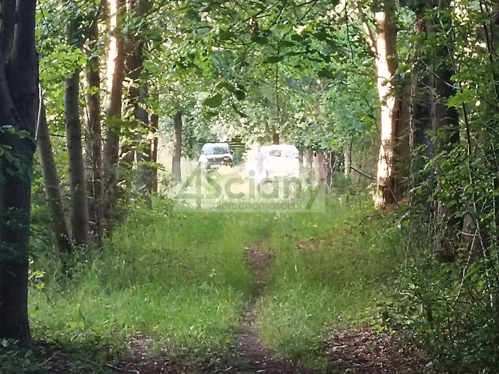 Działka budowlana 1351 m², Sulejówek - zdjęcie 9