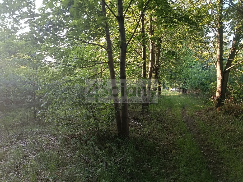 Działka budowlana 1351 m², Sulejówek - zdjęcie 10