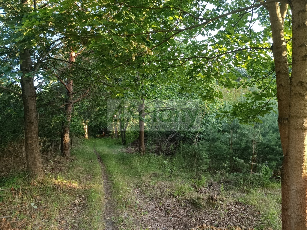 Działka budowlana 1351 m², Sulejówek - zdjęcie 4