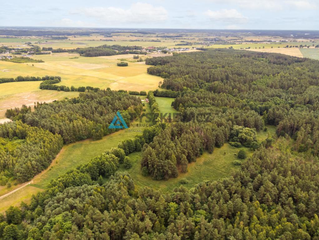 Działka przy lesie i koło rzeczki! - zdjęcie 16