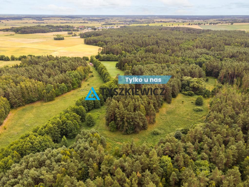 Działka przy lesie i koło rzeczki! - zdjęcie 1