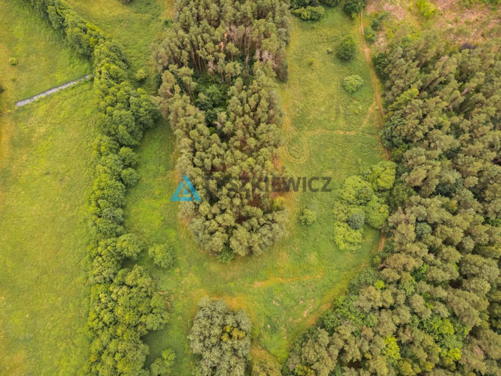 Działka przy lesie i koło rzeczki! - zdjęcie 4