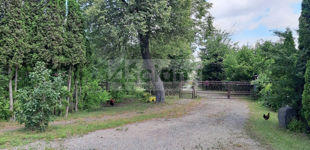 Działka budowlana 5621 m², Nadarzyn - zdjęcie 8