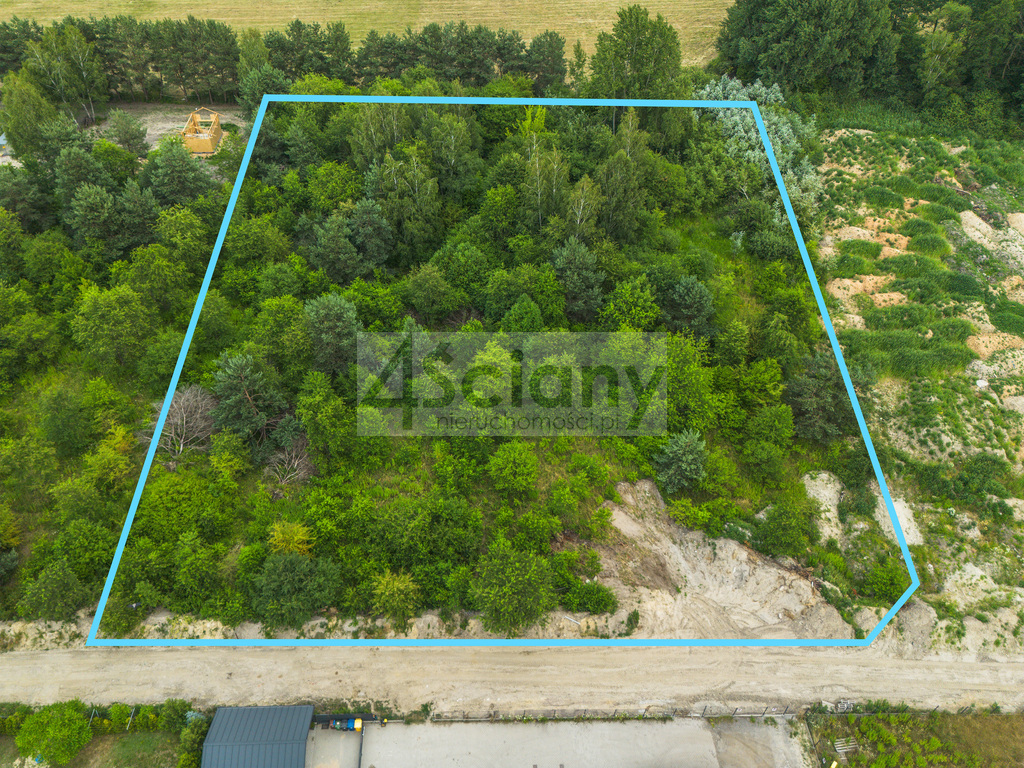 Działka budowlana 8463 m², Szczęsne - zdjęcie 3