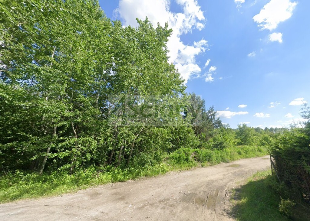 Działka budowlana 8463 m², Szczęsne - zdjęcie 1