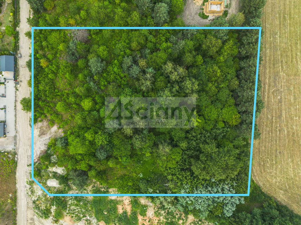 Działka budowlana 8463 m², Szczęsne - zdjęcie 2