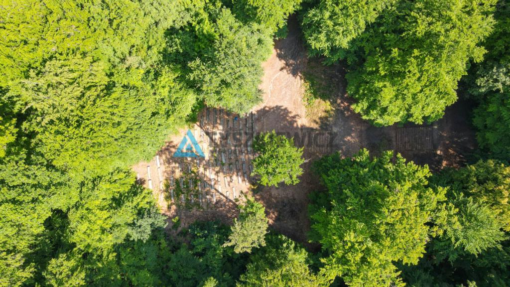 Działka 990m2 z domem, tuż przy lesie. - zdjęcie 9