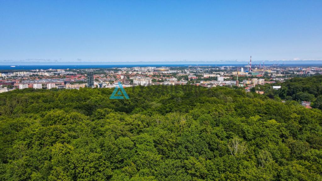 Działka 990m2 z domem, tuż przy lesie. - zdjęcie 5