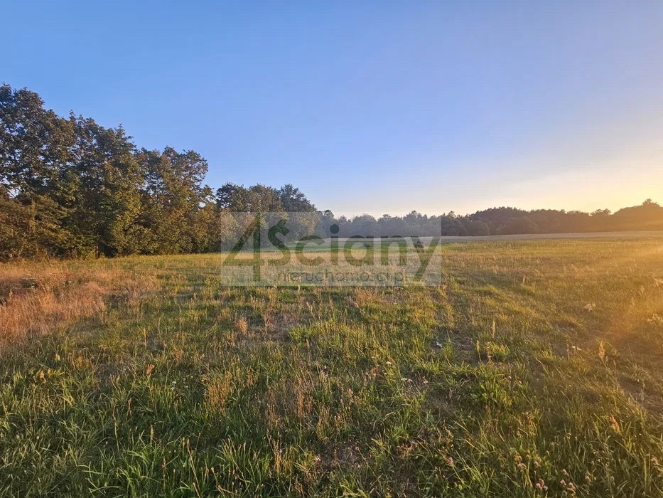 Działka budowlana 1560 m², Lelewo - zdjęcie 2