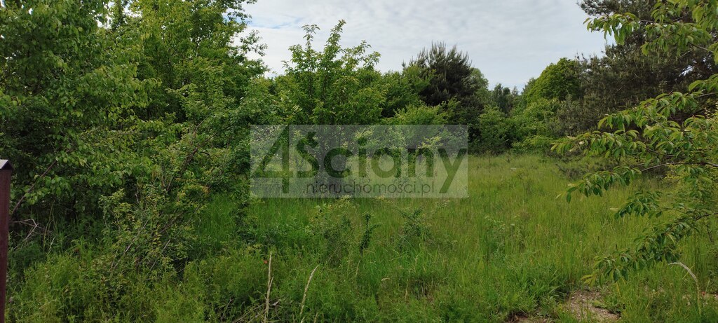 Działka budowlana 1650&nbsp;m², Rusiec - zdjęcie 1