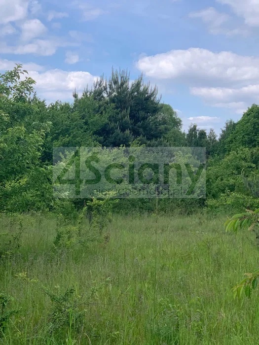 Działka budowlana 1650&nbsp;m², Rusiec - zdjęcie 4
