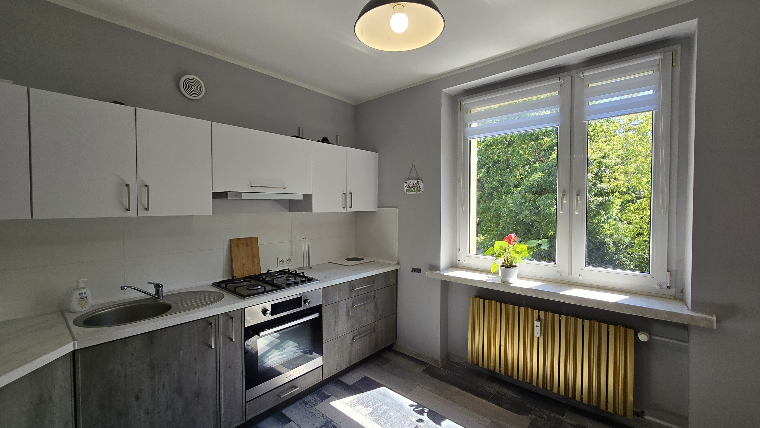 Przestronna kawalerka do sprzedaży w niskim bloku na Koszutce! - zdjęcie 4