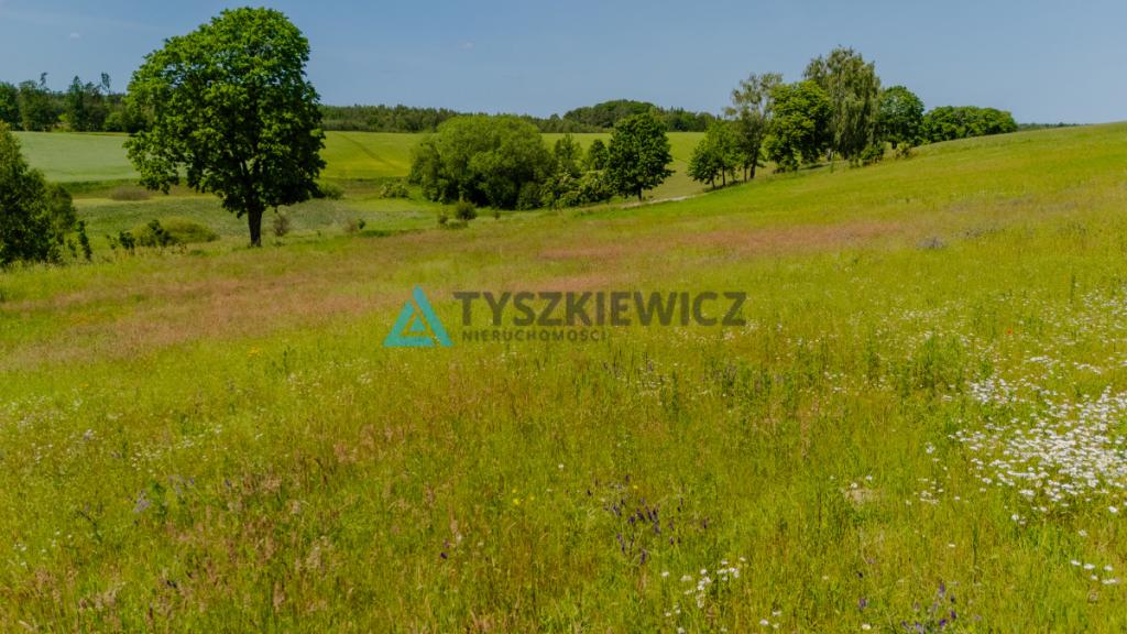 Działka z WZ- Przechlewo, ul. Młyńska - zdjęcie 4
