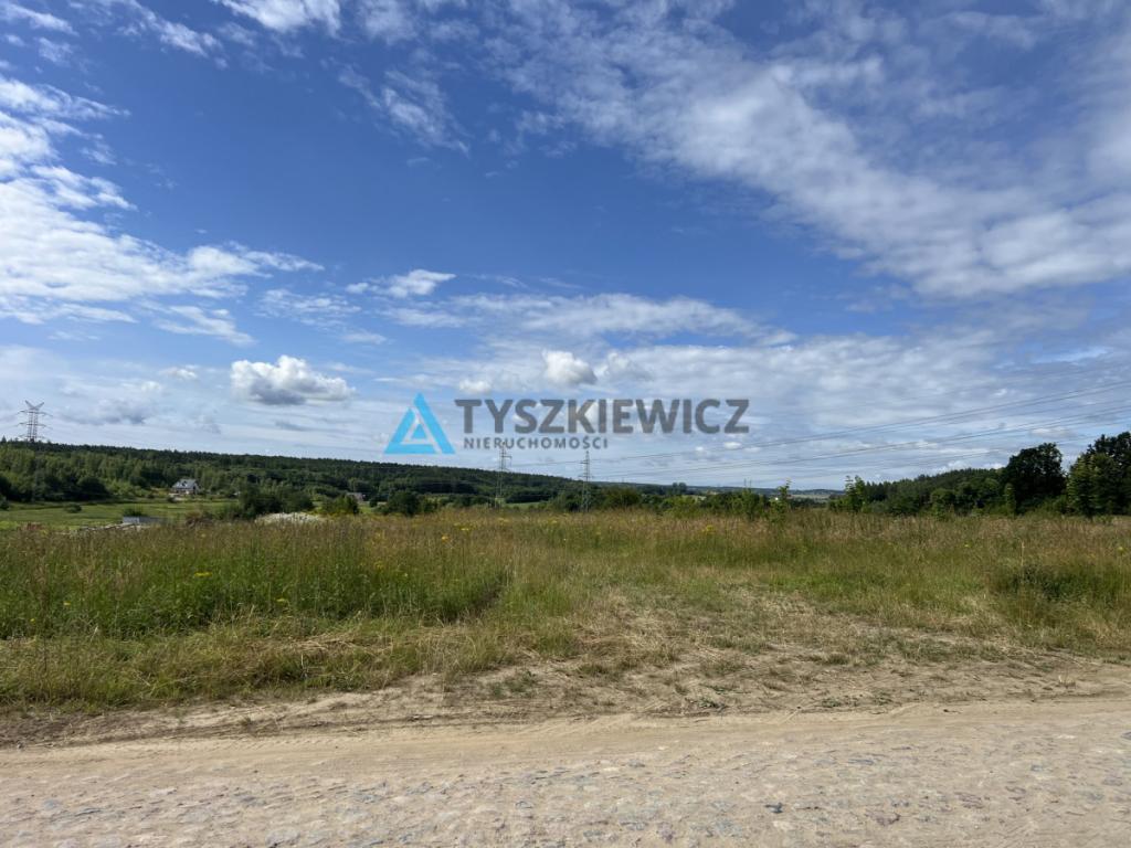 Kameralna działka w otulinie lasu - zdjęcie 13