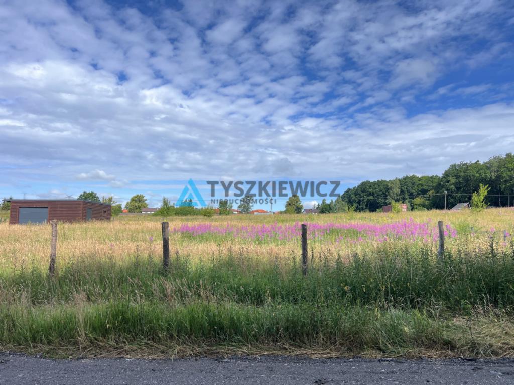 Kameralna działka w otulinie lasu - zdjęcie 7