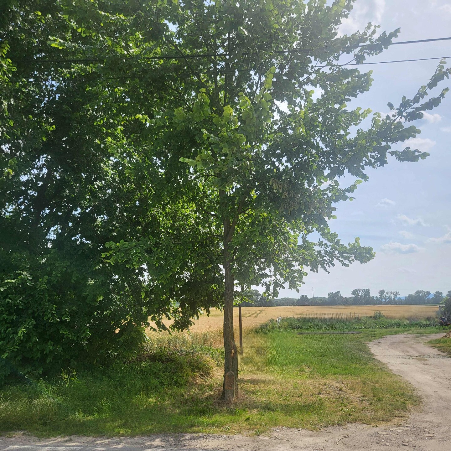 gm. Kobierzyce, wieś Nowiny, budowlana - zdjęcie 4