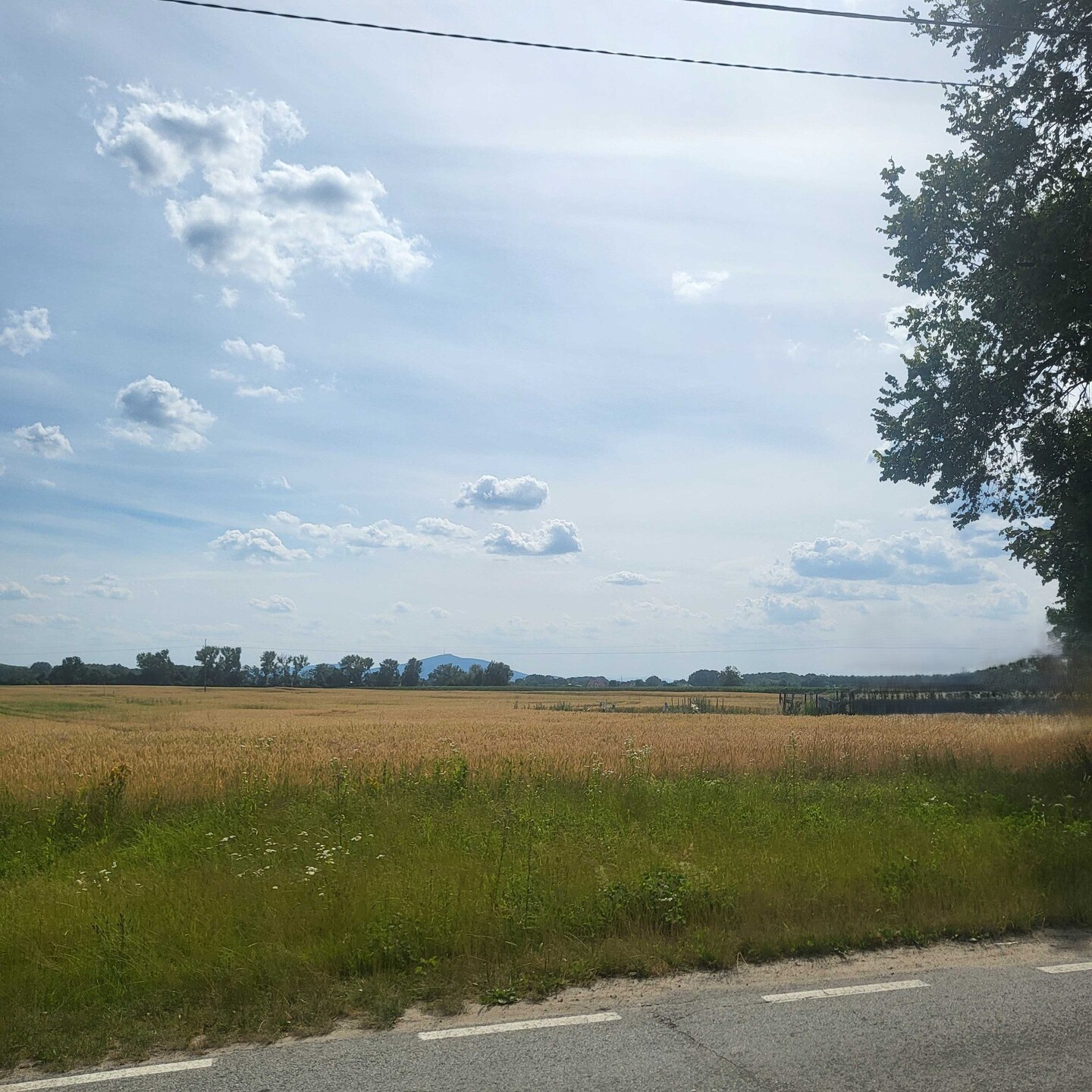 gm. Kobierzyce, wieś Nowiny, budowlana - zdjęcie 1