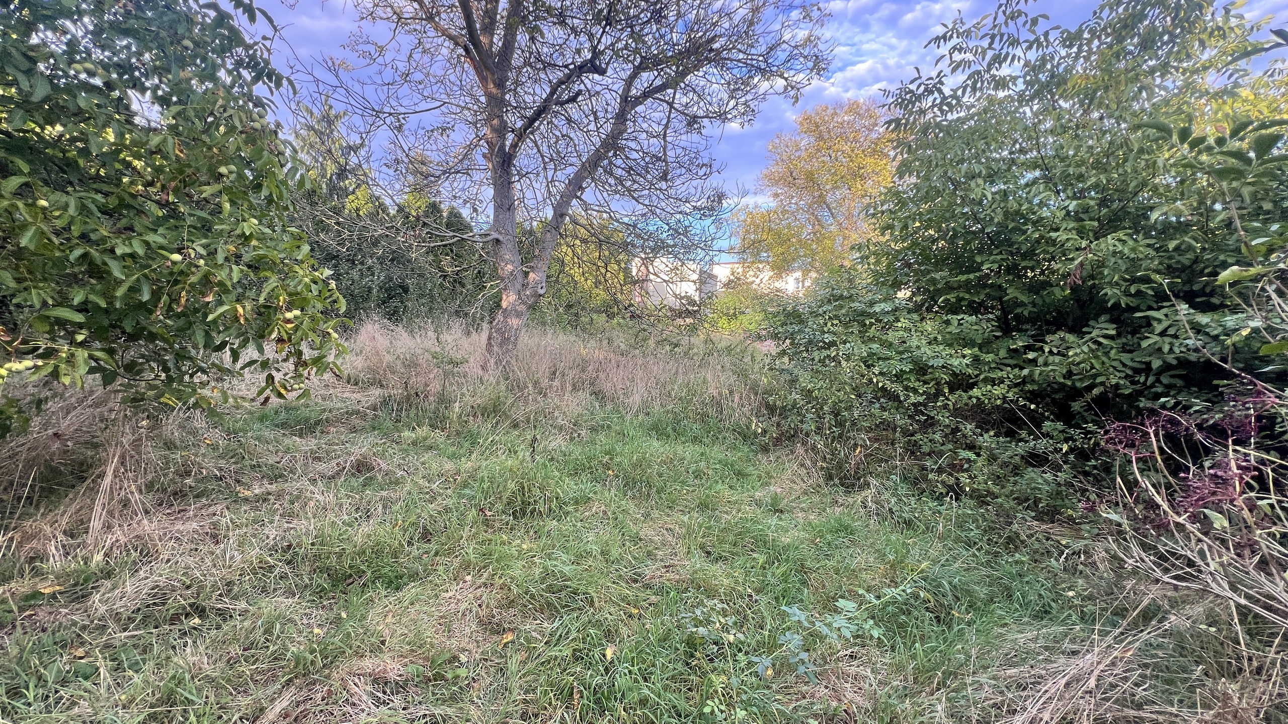 Działka z potencjałem inwestycyjnym w centrum Lubonia - zdjęcie 7