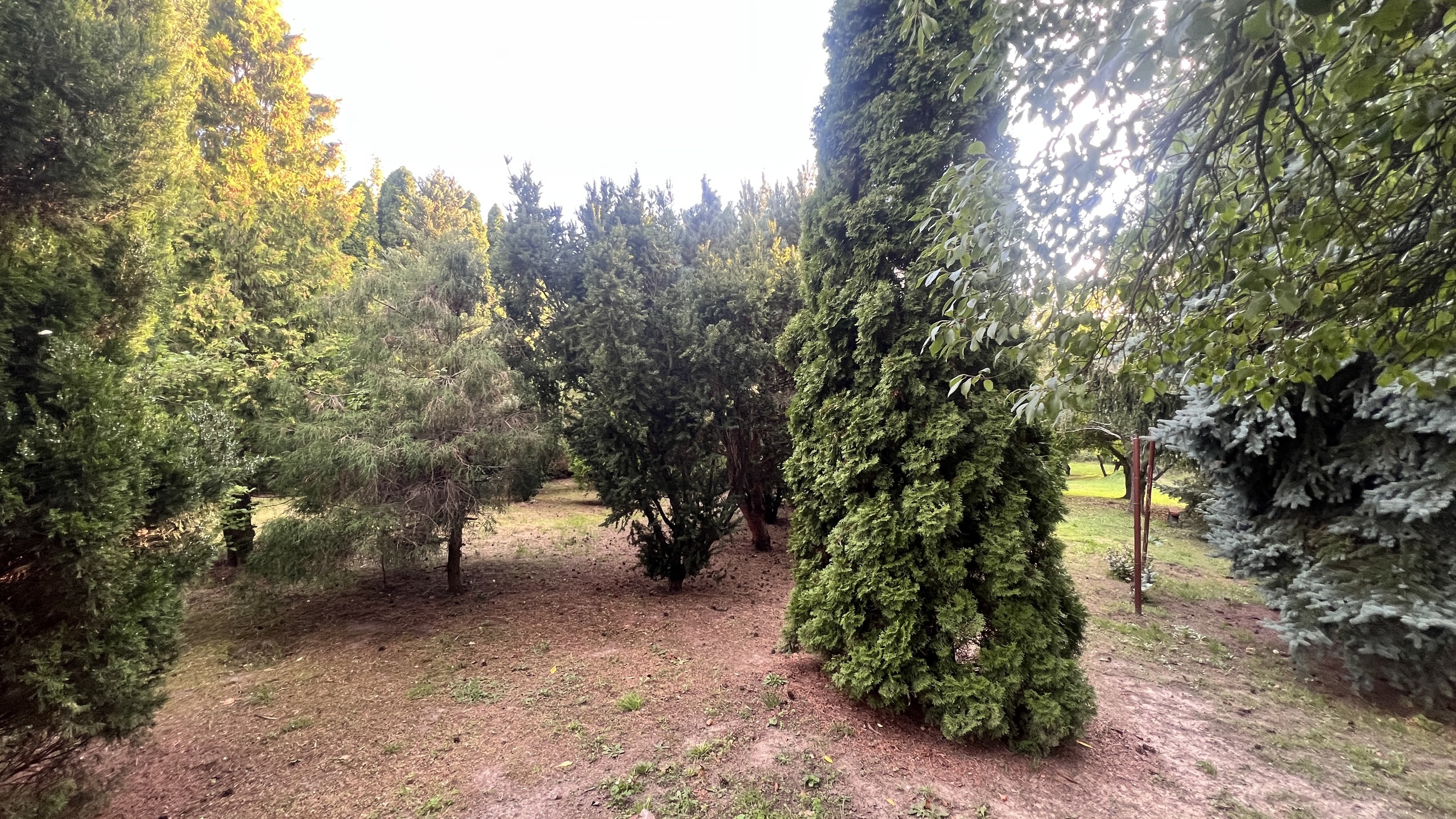 Działka z potencjałem inwestycyjnym w centrum Lubonia - zdjęcie 4