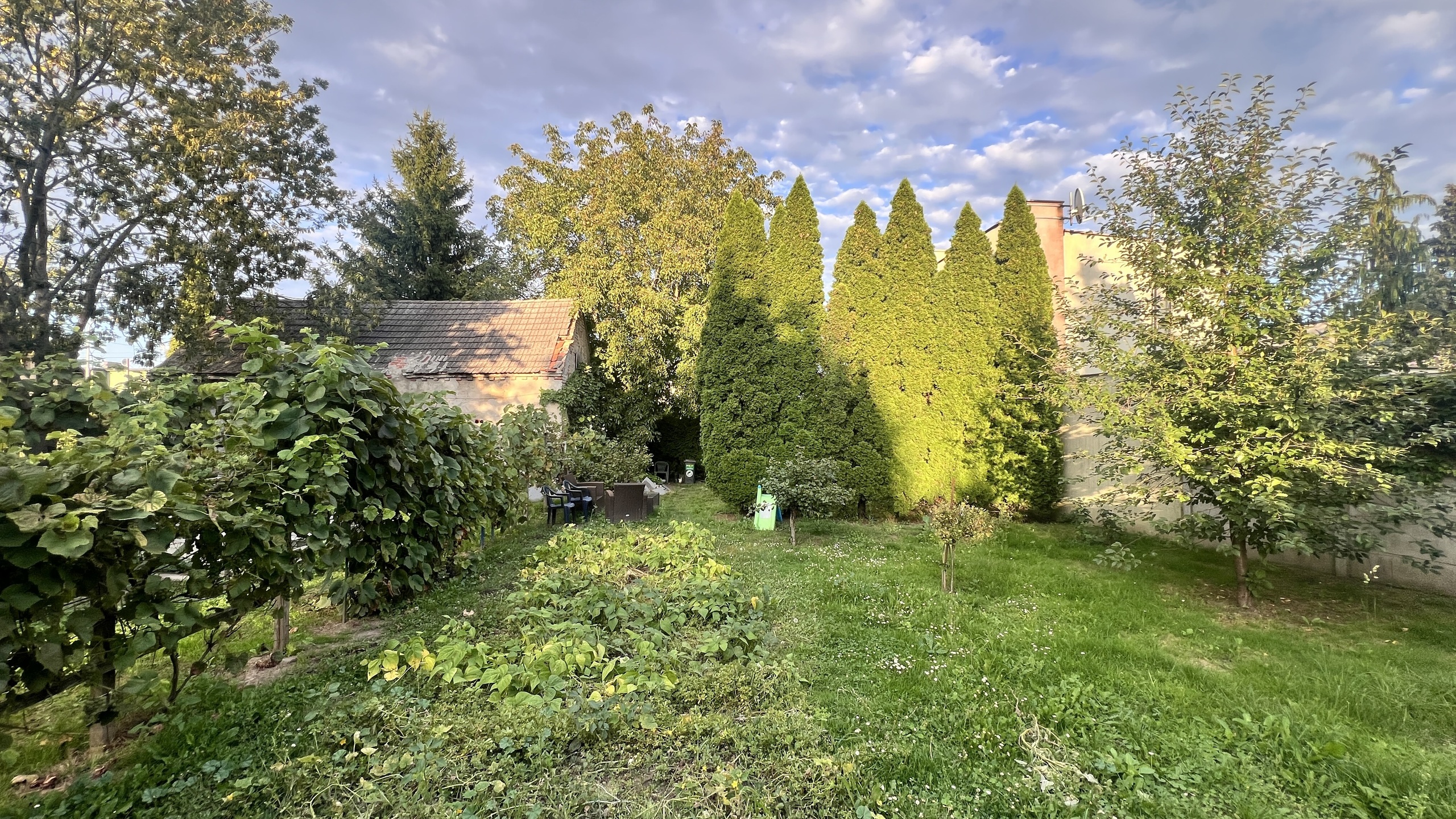 Działka z potencjałem inwestycyjnym w centrum Lubonia - zdjęcie 1