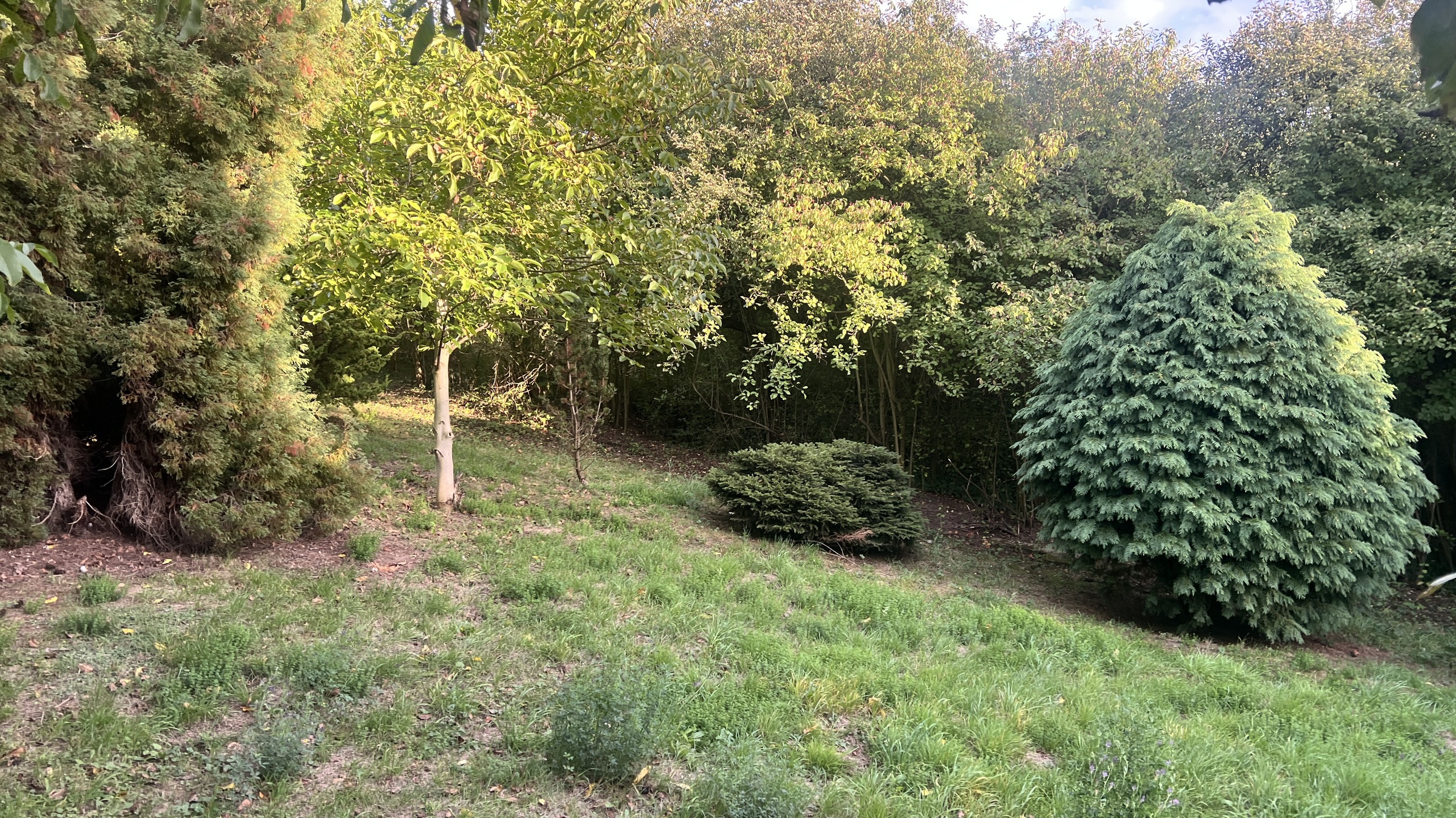 Działka z potencjałem inwestycyjnym w centrum Lubonia - zdjęcie 5