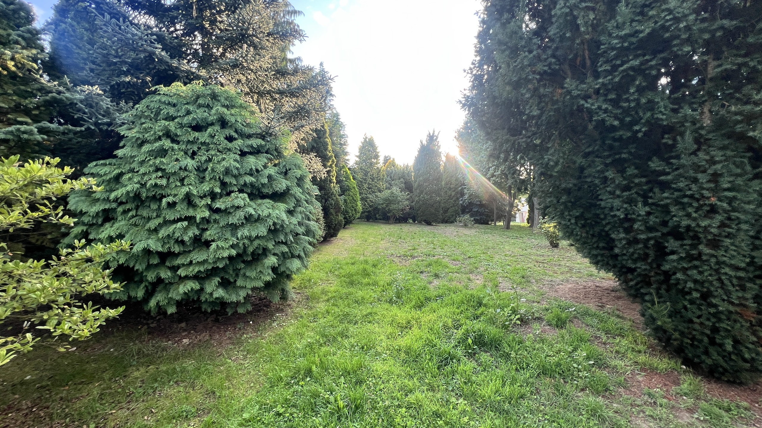 Działka z potencjałem inwestycyjnym w centrum Lubonia - zdjęcie 6