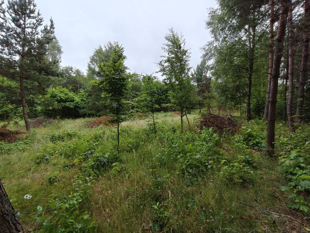 Działka budowlana Parchowski Młyn blisko jeziora. - zdjęcie 13