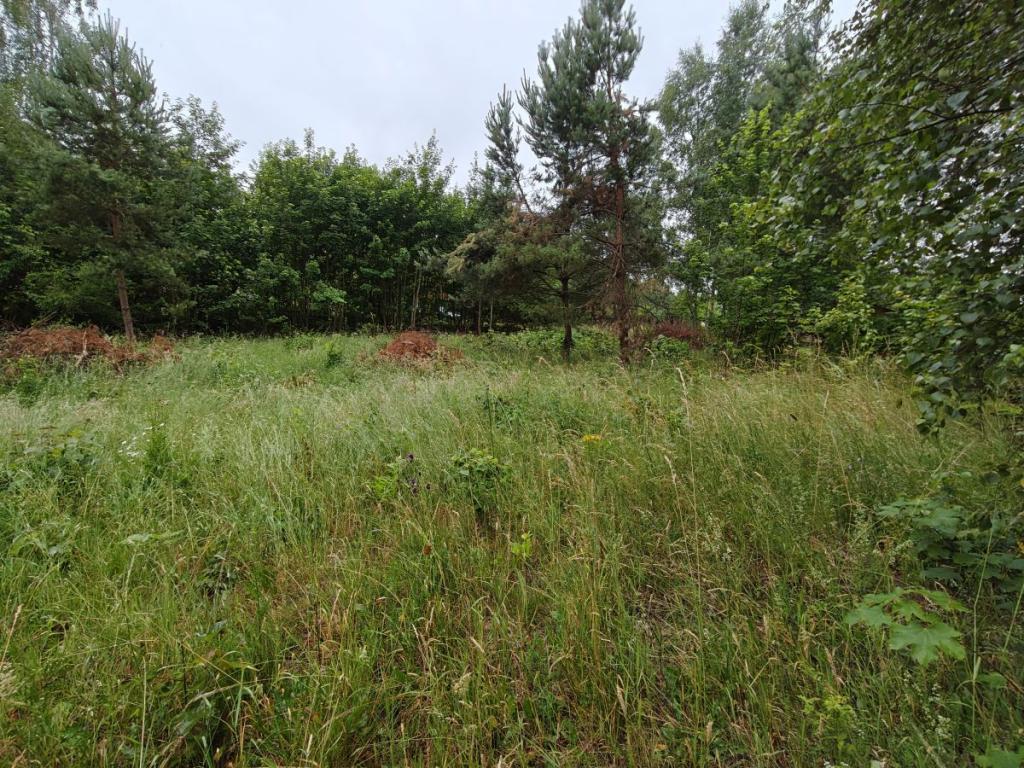 Działka budowlana Parchowski Młyn blisko jeziora. - zdjęcie 12