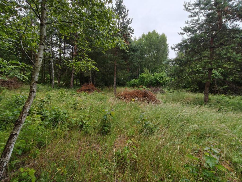 Działka budowlana Parchowski Młyn blisko jeziora. - zdjęcie 11