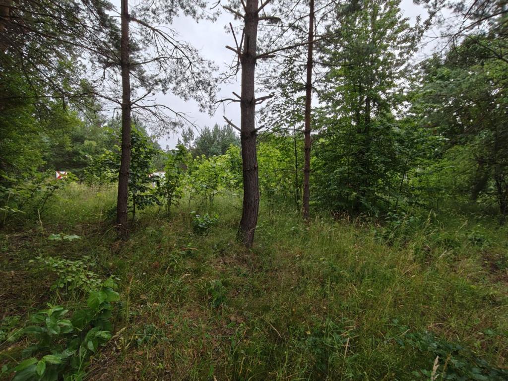 Działka budowlana Parchowski Młyn blisko jeziora. - zdjęcie 10
