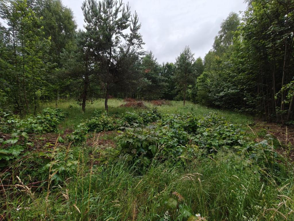 Działka budowlana Parchowski Młyn blisko jeziora. - zdjęcie 9