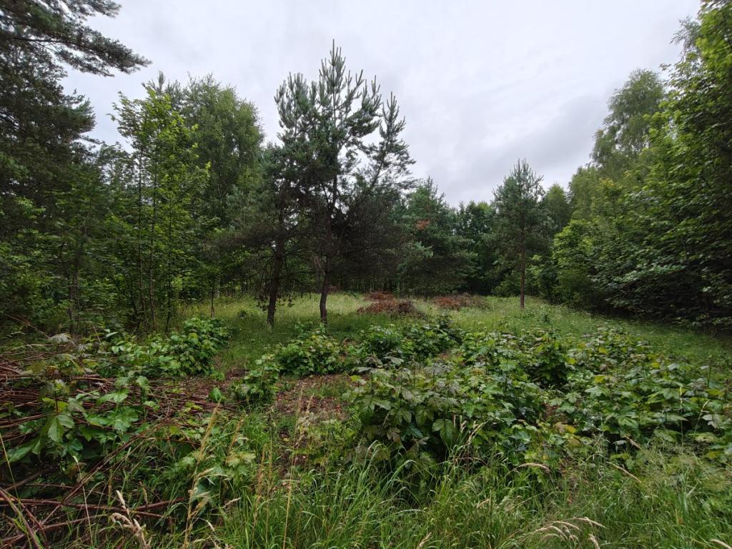 Działka budowlana Parchowski Młyn blisko jeziora. - zdjęcie 8