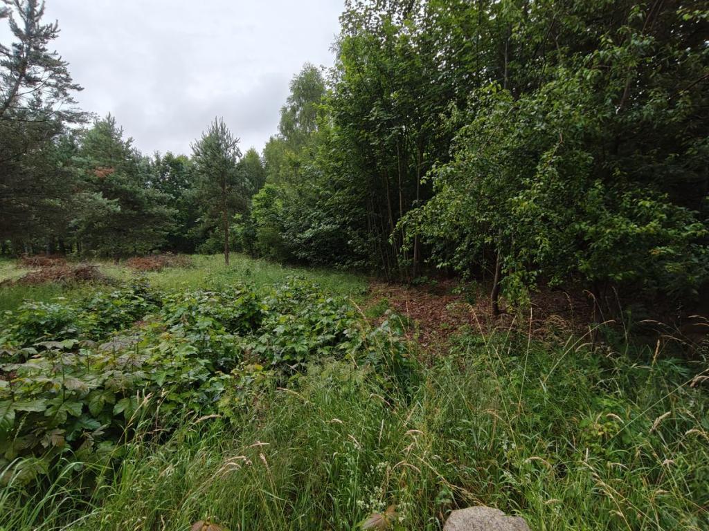 Działka budowlana Parchowski Młyn blisko jeziora. - zdjęcie 7