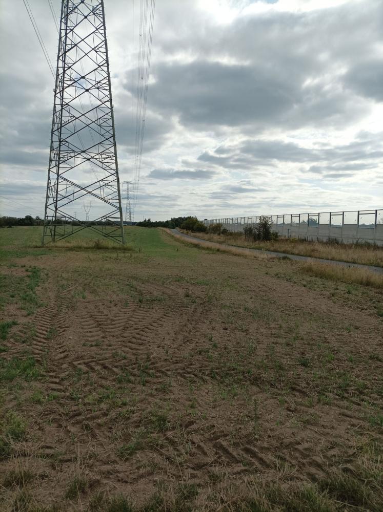 Działka rolna 1,62&nbsp;ha, Swadzim, S11, DK92 - zdjęcie 9