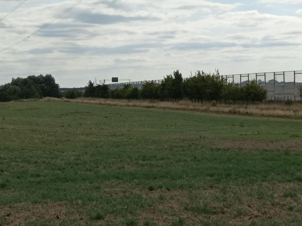 Działka rolna 1,62&nbsp;ha, Swadzim, S11, DK92 - zdjęcie 3