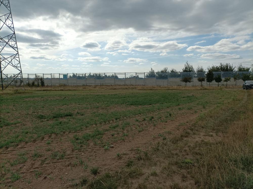 Działka rolna 1,62&nbsp;ha, Swadzim, S11, DK92 - zdjęcie 6