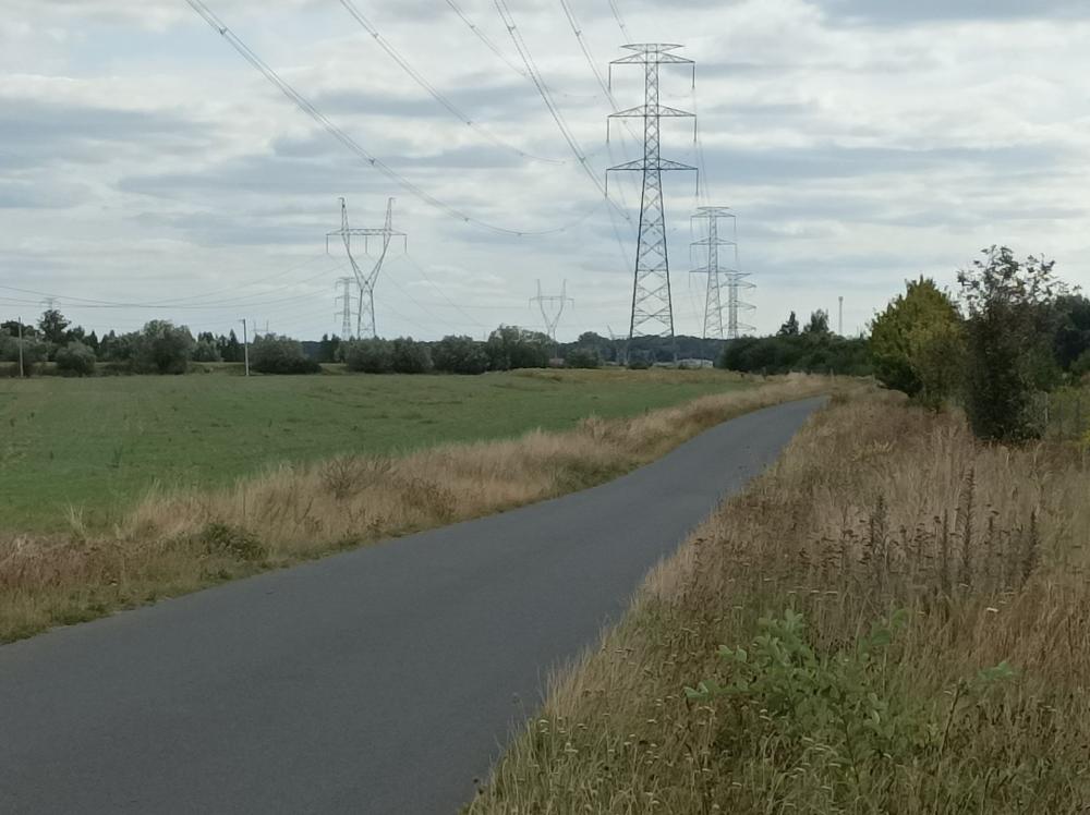 Działka rolna 1,62&nbsp;ha, Swadzim, S11, DK92 - zdjęcie 2