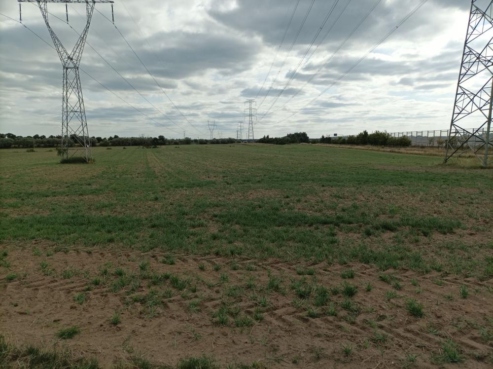 Działka rolna 1,62&nbsp;ha, Swadzim, S11, DK92 - zdjęcie 5