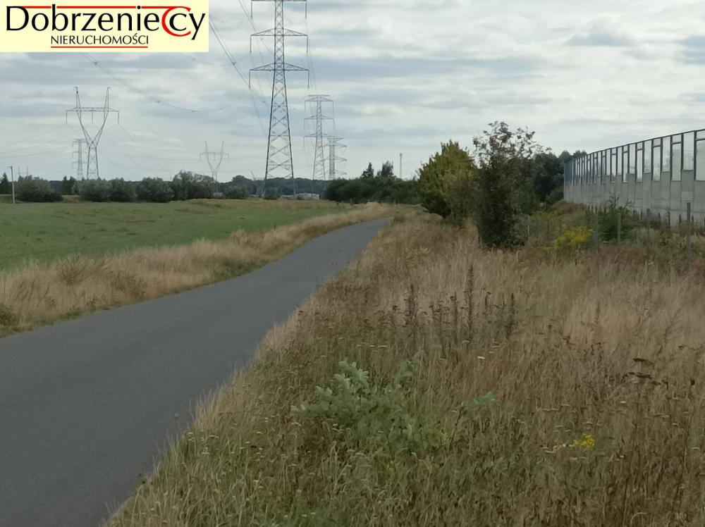 Działka rolna 1,62&nbsp;ha, Swadzim, S11, DK92 - zdjęcie 1