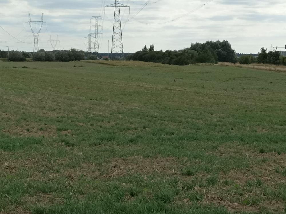 Działka rolna 1,62&nbsp;ha, Swadzim, S11, DK92 - zdjęcie 4