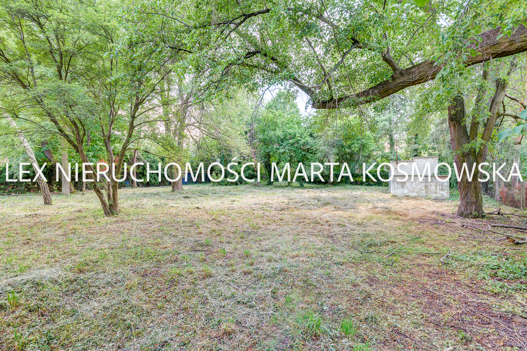 Grodzisk Mazowiecki, dworek o pow. ca 450 m, działka 2790 m - zdjęcie 4