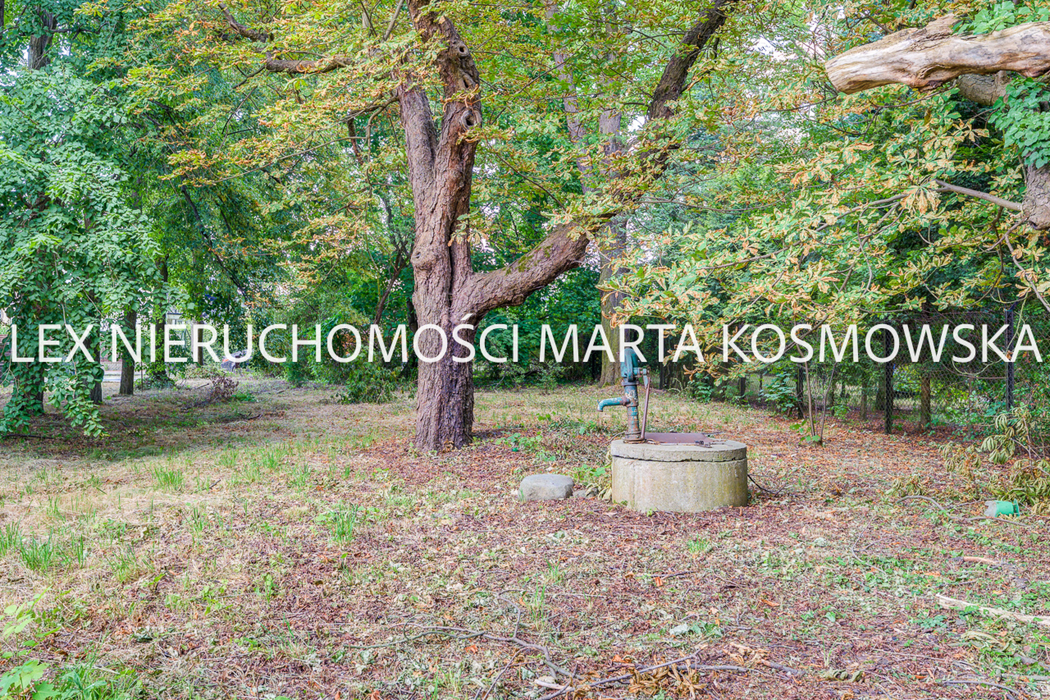 Grodzisk Mazowiecki, dworek o pow. ca 450 m, działka 2790 m - zdjęcie 11
