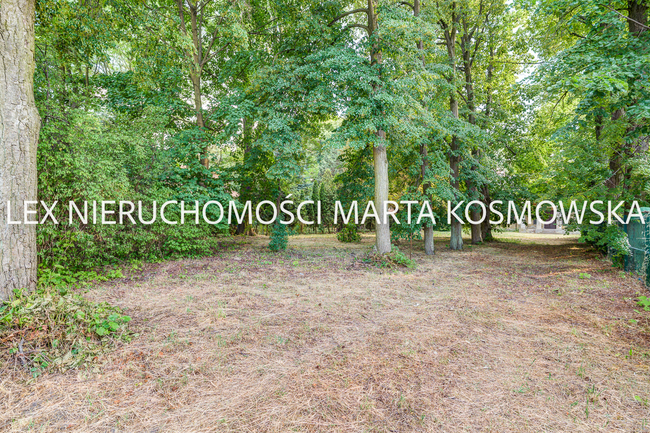 Grodzisk Mazowiecki, dworek o pow. ca 450 m, działka 2790 m - zdjęcie 12