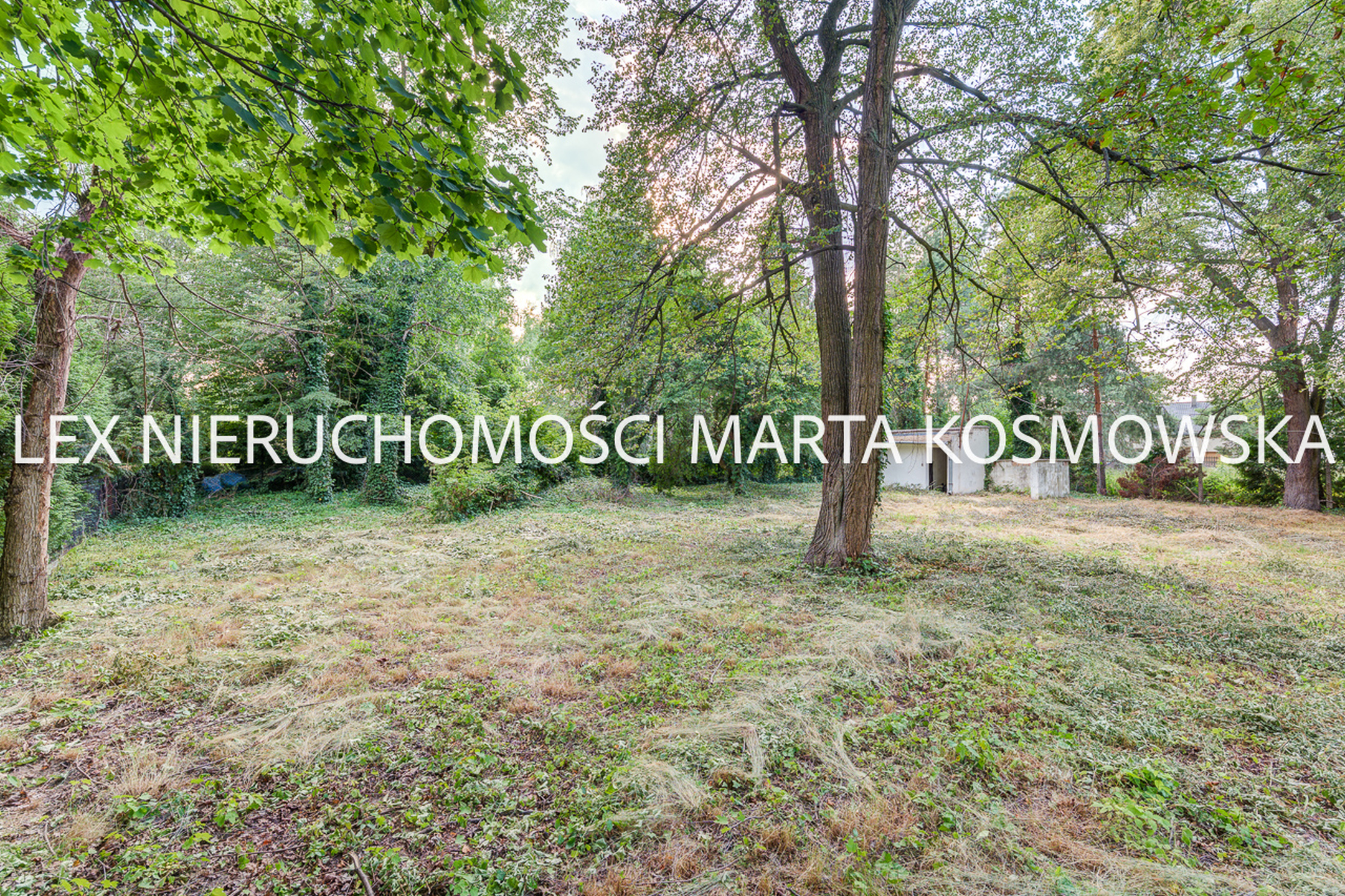 Grodzisk Mazowiecki, dworek o pow. ca 450 m, działka 2790 m - zdjęcie 9