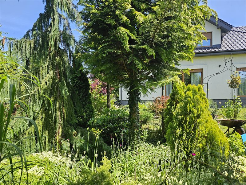 Dom 146 m², Wilkowice, Akacjowa - zdjęcie 3