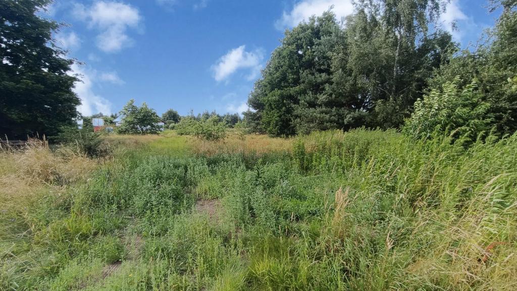 Działka budowlana 1881 m², Dobrzykowice, Rolna - zdjęcie 4