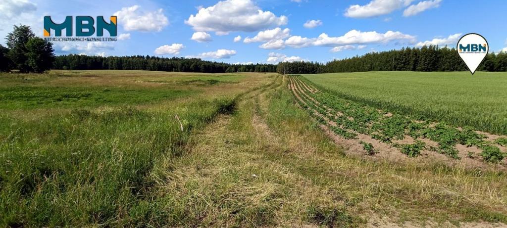 Działka rolna 3000&nbsp;m², Pozezdrze - zdjęcie 11