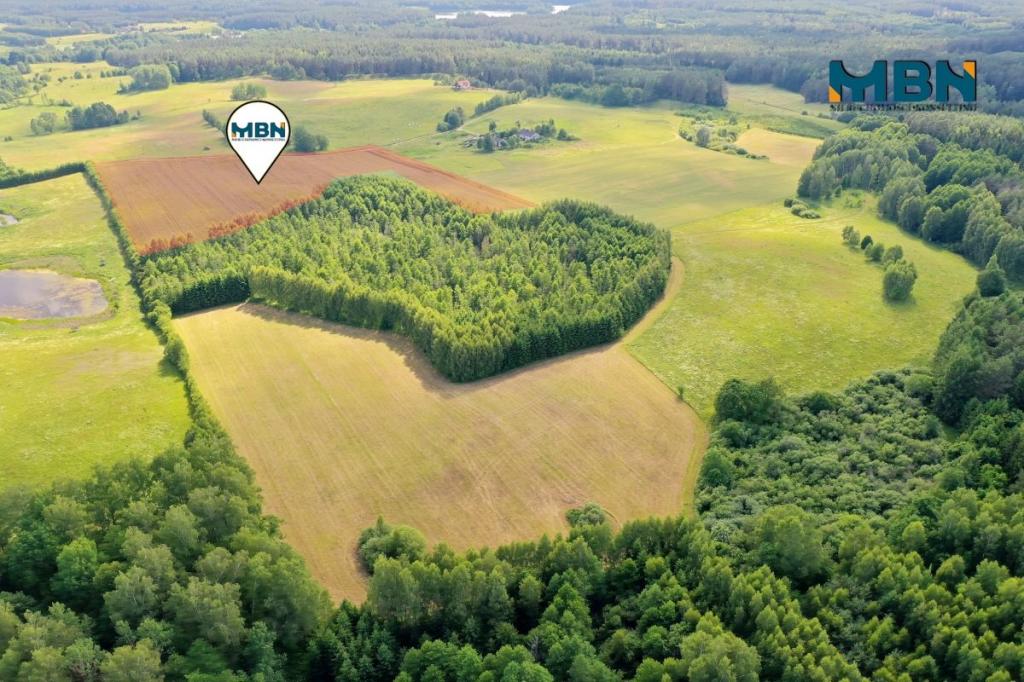 Działka rolna 3000&nbsp;m², Pozezdrze - zdjęcie 8