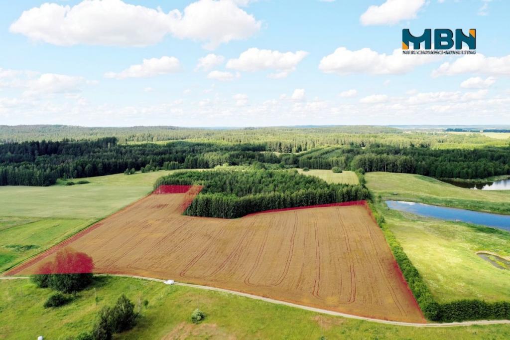 Działka rolna 3000&nbsp;m², Pozezdrze - zdjęcie 2